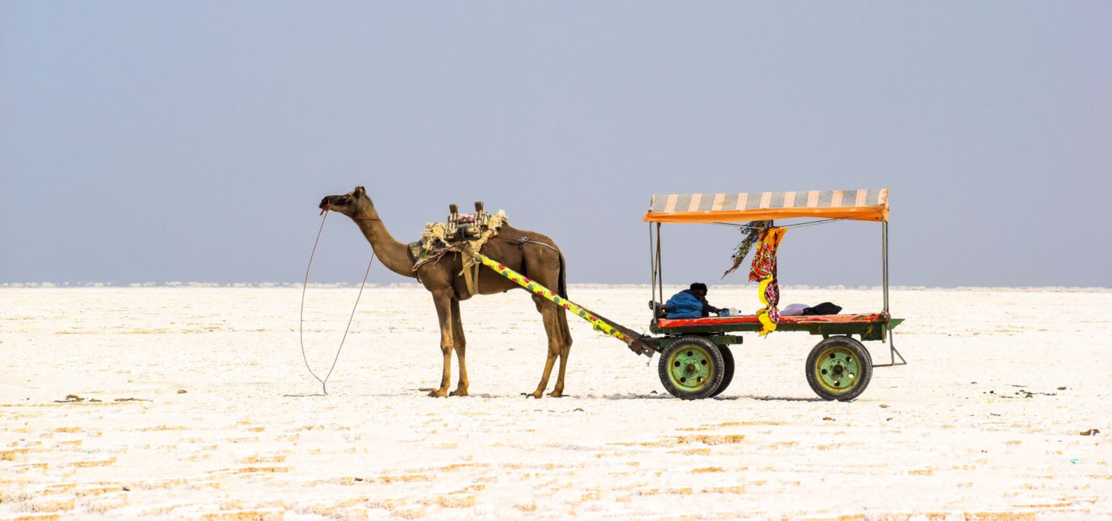 Kutch — White Rann & Bhuj