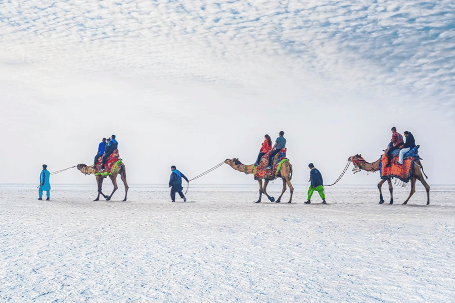 Rann of Kutch